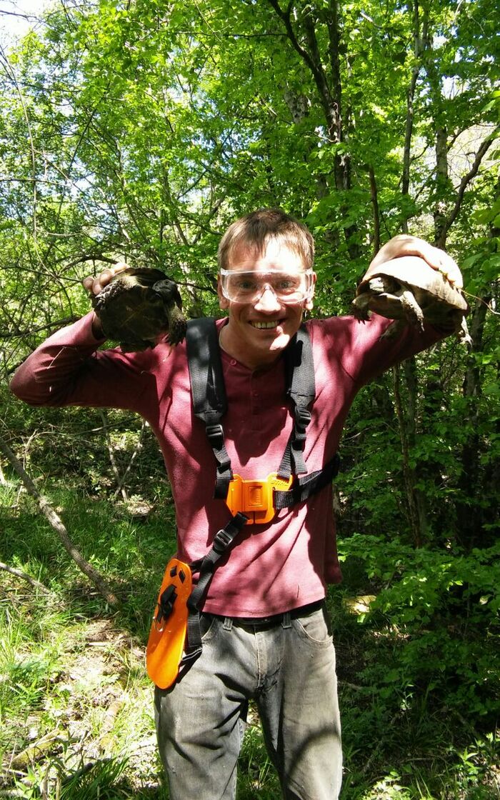 ����, ������� ������� ����� ���������.