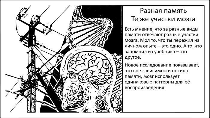 ����������� ������. ��� ������������ ������� ����� ������������� � ������������� �������������