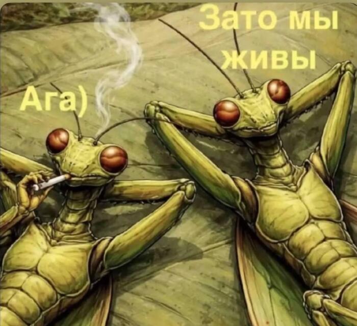 � ��������)