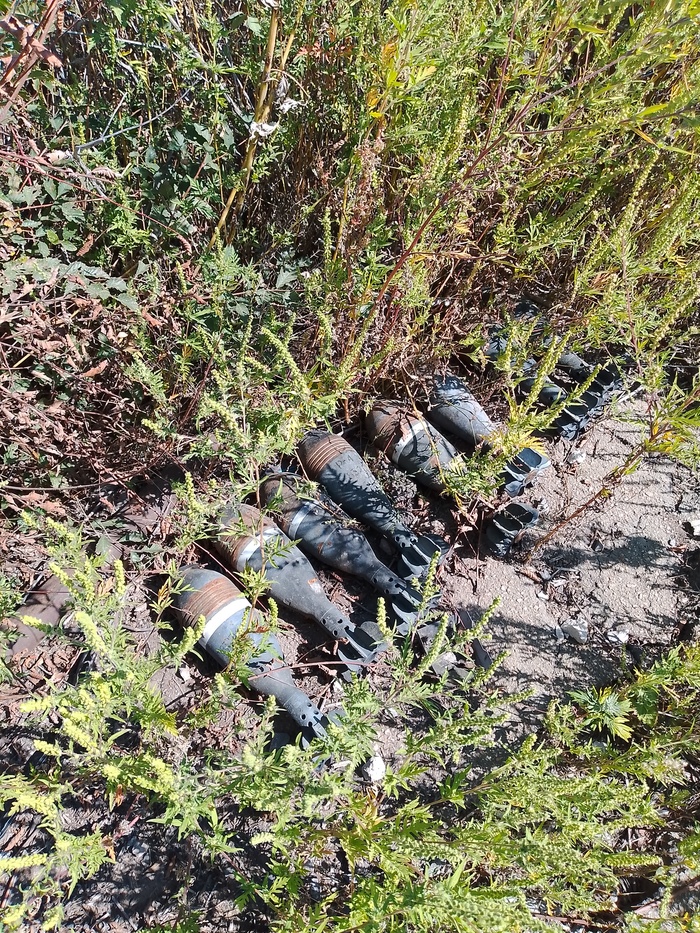 ��� ��������