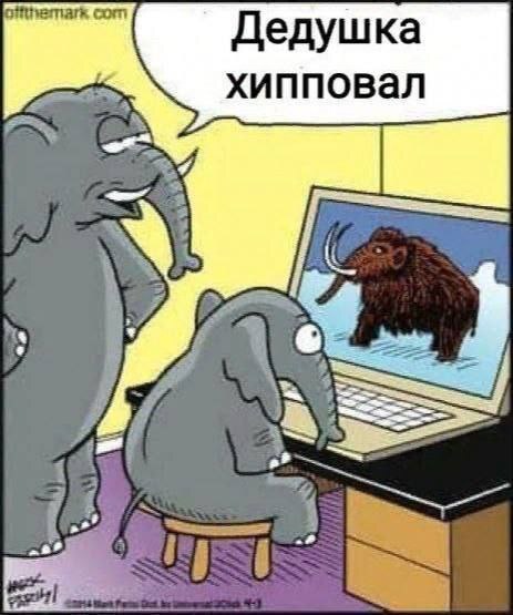 ������-�����