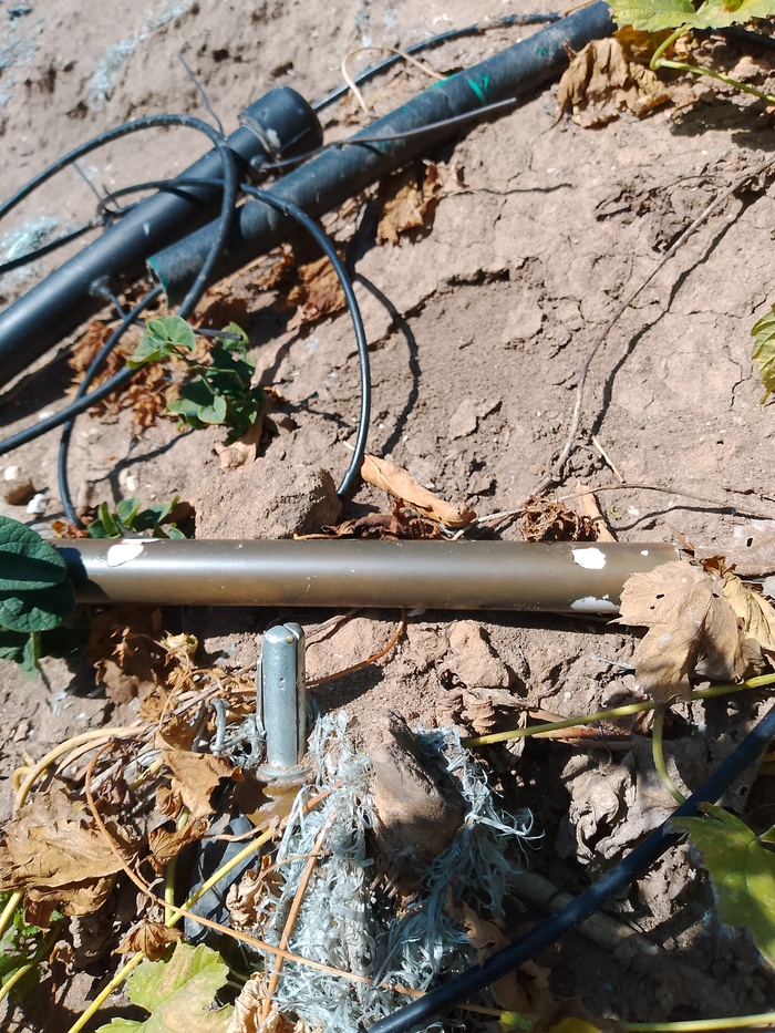 ������� ����� � ������ - ������� �1 � �������� ���������� �����