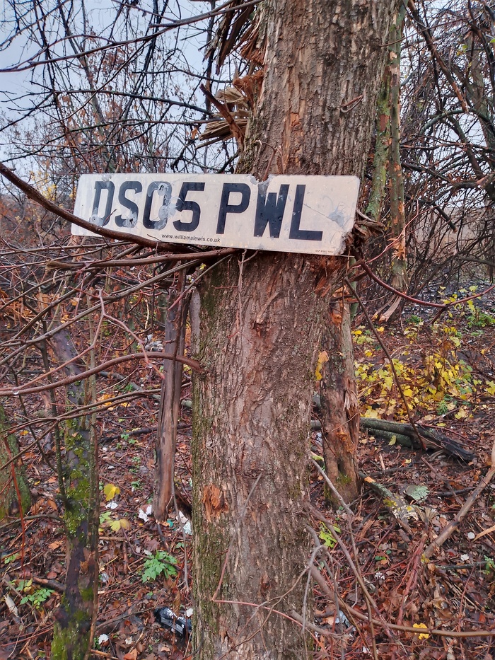 �������� �� ����� - ����� �� ���������� ������ (����� � ������� ���������)