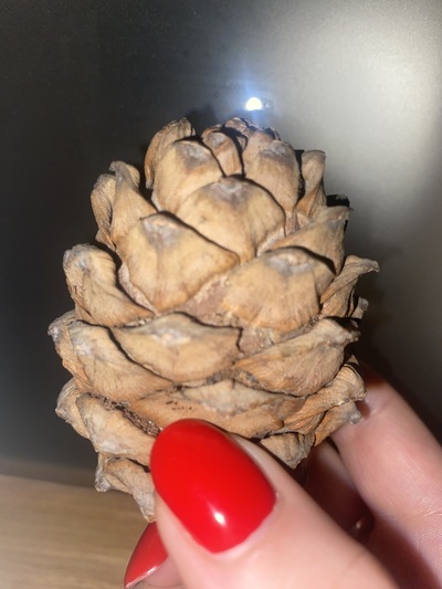 �� ������ ������������