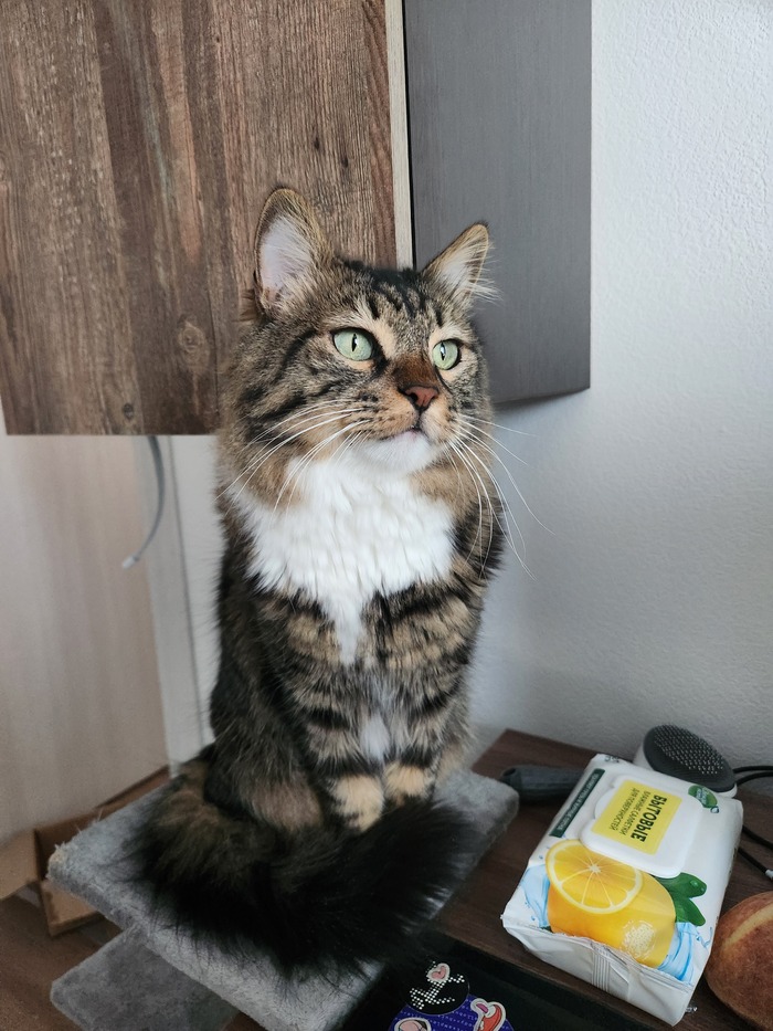 ���������� ������� #191