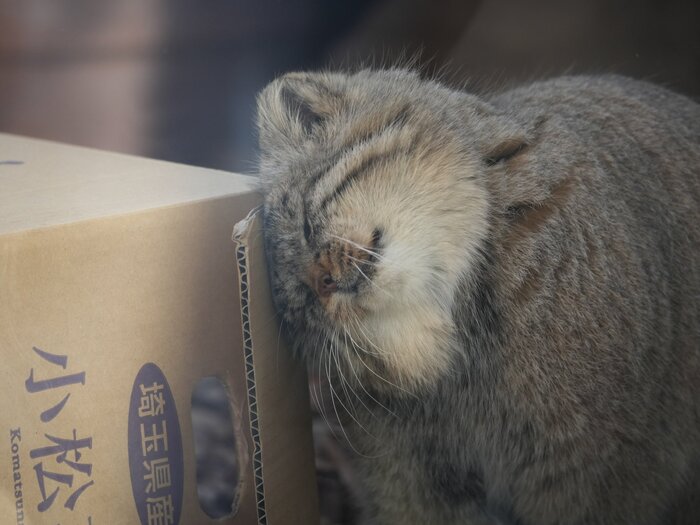 �����������...