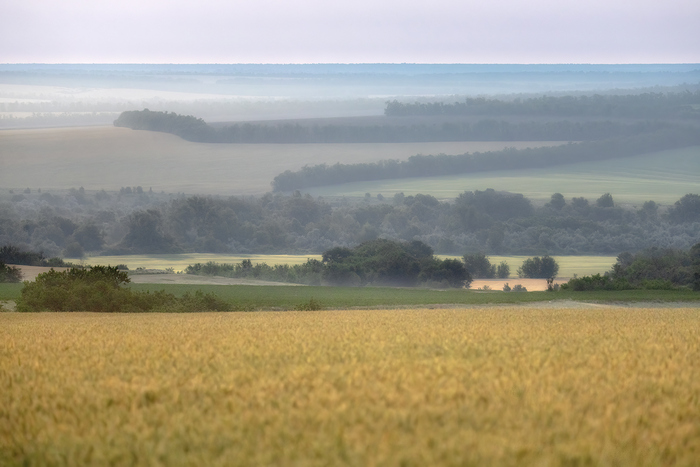 ����� ��� ������