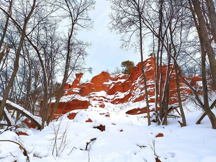 ����� ������� ���� ��������� (�������, ��������). ����: ����� ���������� ����� 