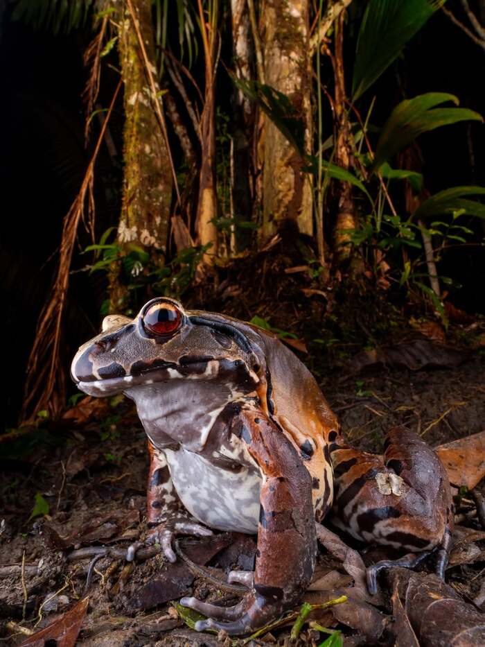 ��������� �������