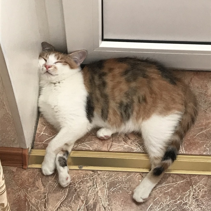 � ������