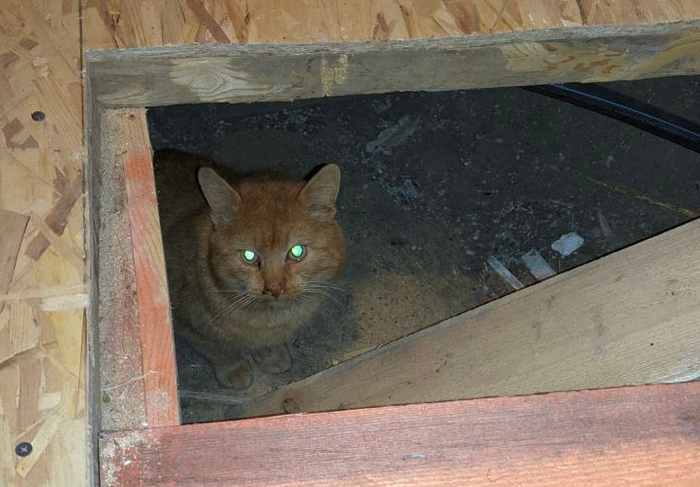 Выглядываю из подвальной тьмы...