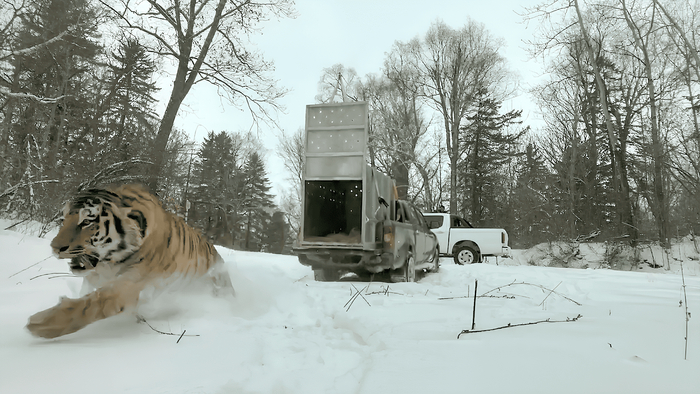 ����-���� �� ����� ������� �����, ������������ 8 ������ � ������������ ������ ����������� ����