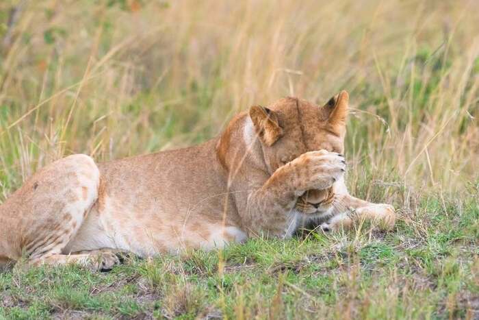 �� ������, ����������...