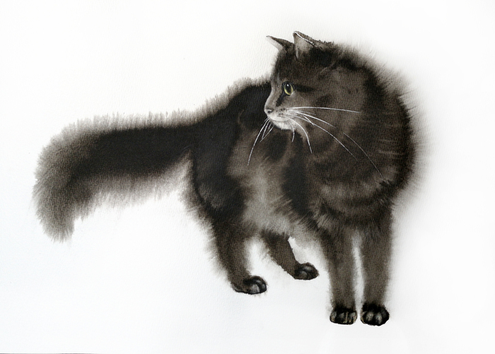 ���� ������� ��������� ��������� ����� Winsor &amp; Newton, ��������, ������� �������, ����� - �������. �� ���� �� ������ ��������. ����� ��������� ������, ������ ��� ����� ���� � ����/��������. 40*30 ��