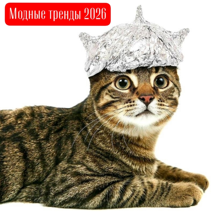 ������� ������� �� ������