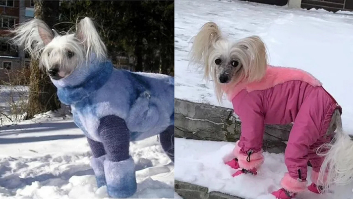 7 �����, ������� ������������� ����� ������ �����