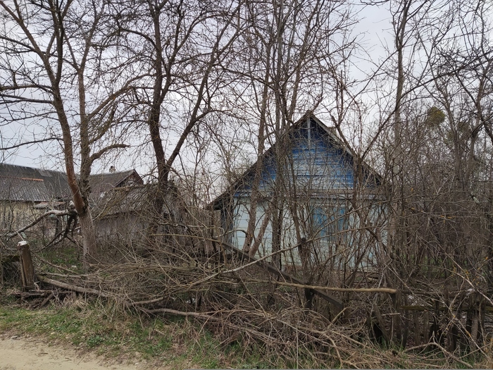 ������� ������ �� ���� ���������