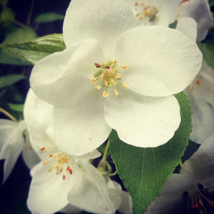 ������ ������ ���������� ��������������