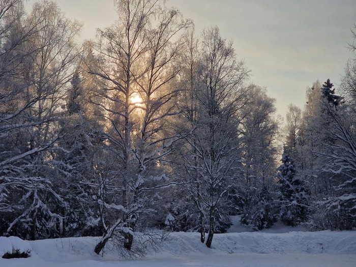 ��������� ��������� 2