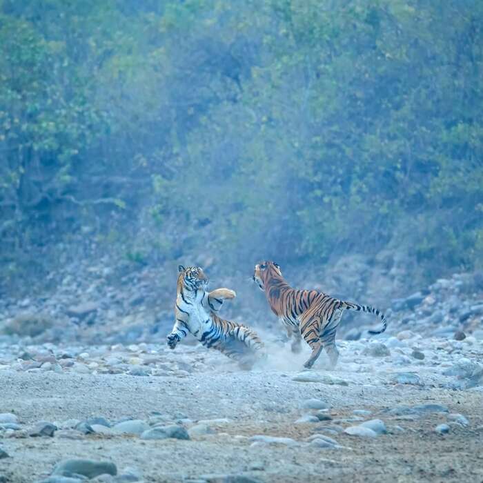 �� ���� ����!