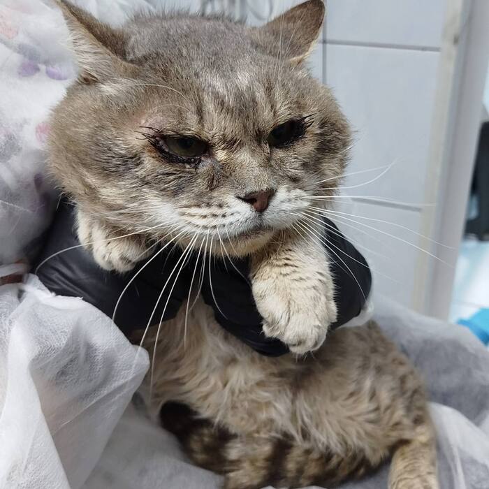 ��������� ���� ���� ���!