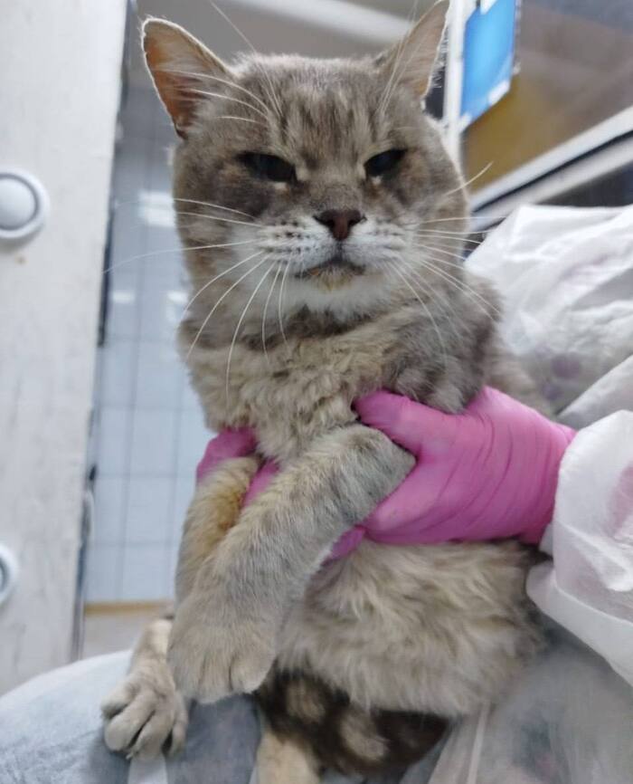 ��������� ���� ���� ���!