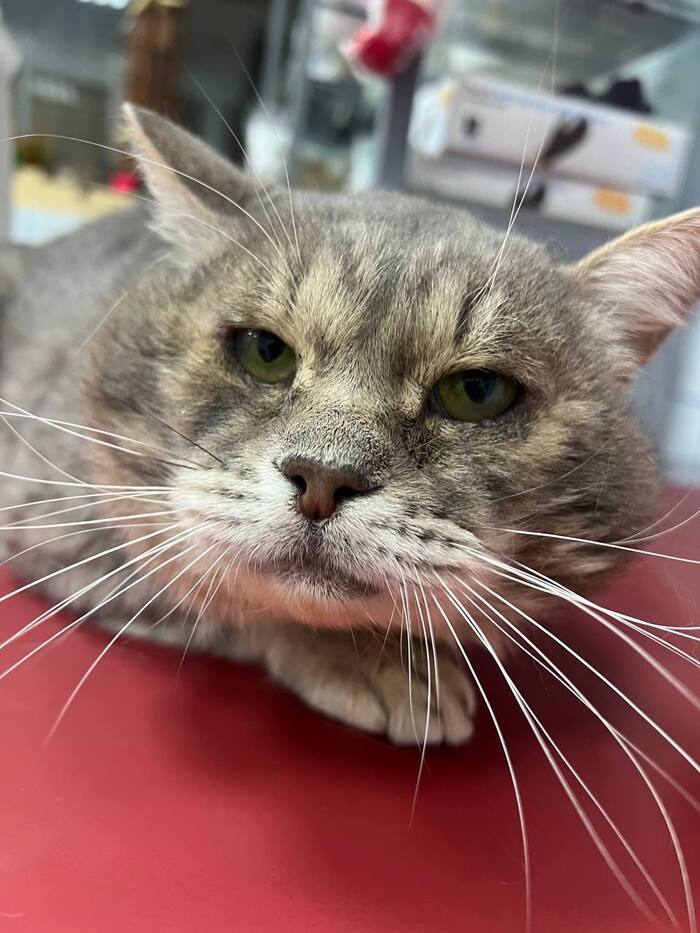 ��������� ���� ���� ���!