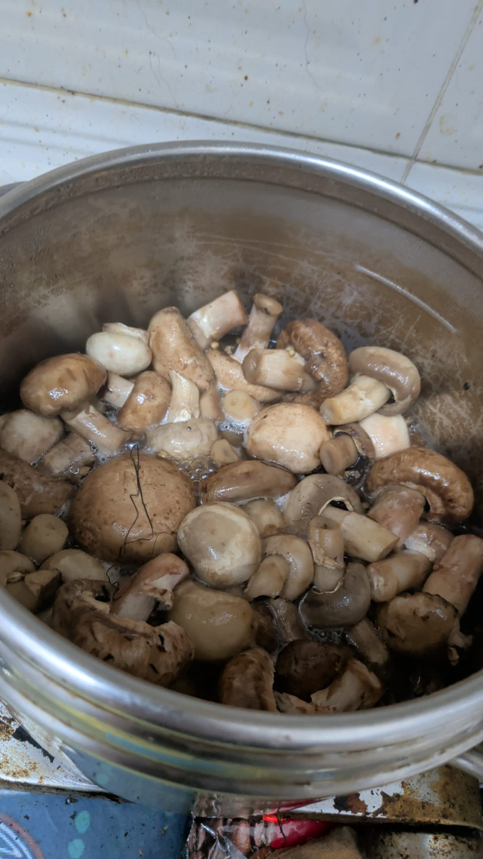 ����� ���������� � �������� ��� ������ ����. �� ���. �� ������, �� ��������