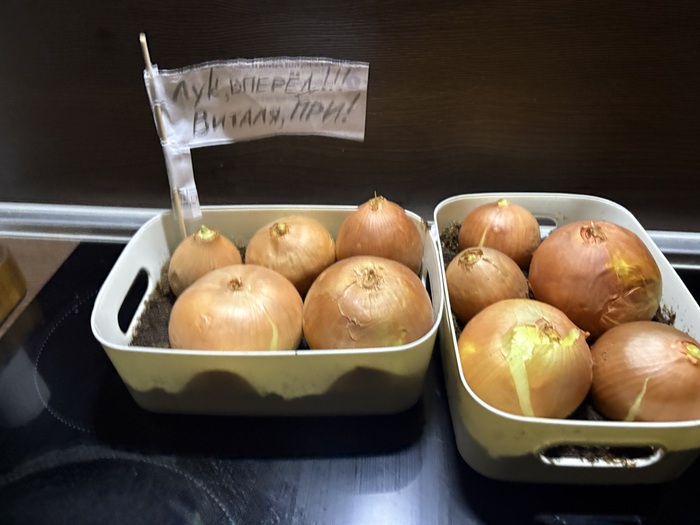 �������� � ��������