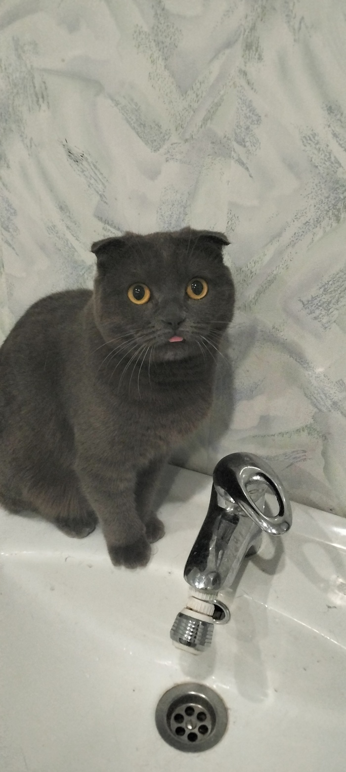 ��������� ��� ���� � �������� ����������� ��� ����������� �����. �/ �� �������� ������������ ���������� 24/7, ������ ��� ���� ����. 