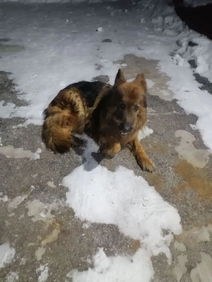 ��� ��� �����-�� �� ������������ - ��� ����� �� ����������. ��� ������ ������ ��� ��� ���-�� ����� �������� �� ����������