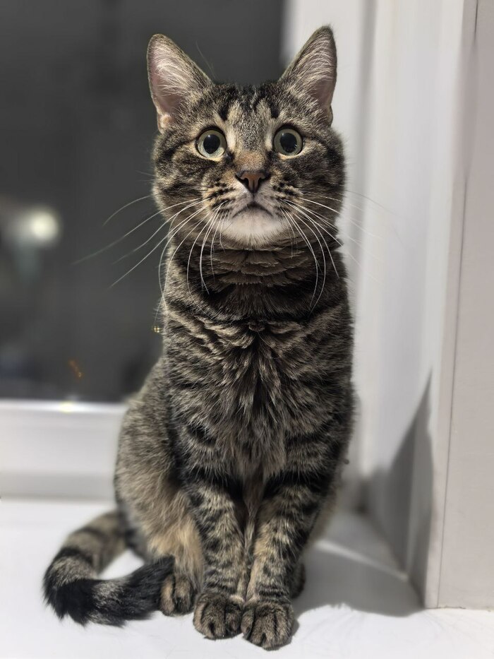 ����� ���, ����� ������!