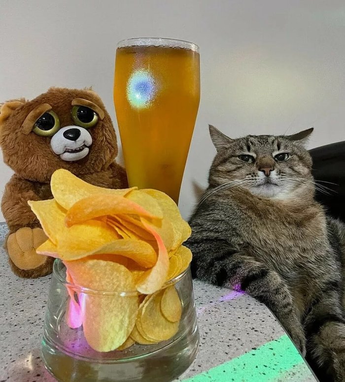 ������ ������� ���!