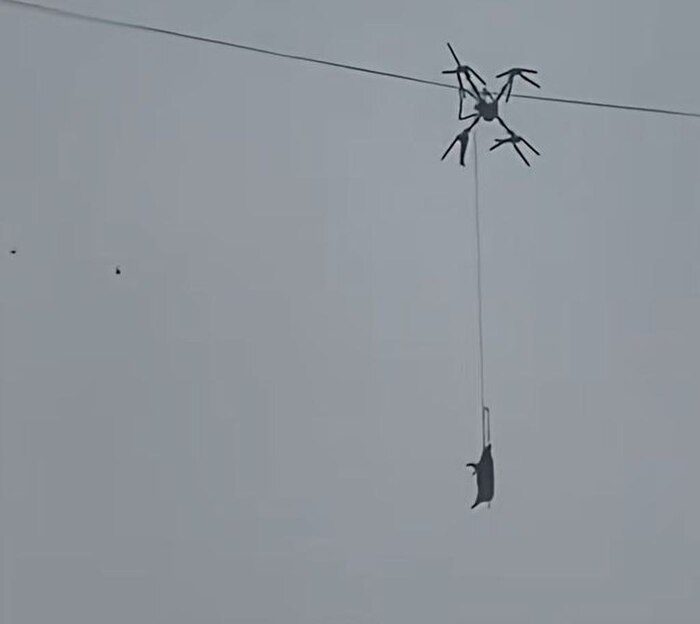 Будущее наступило