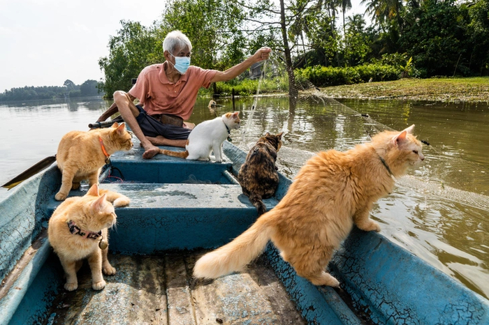 ������� ����� � ��� ����-���������