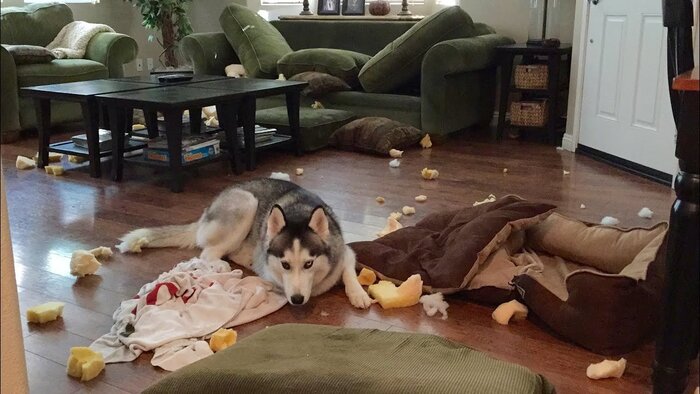 �� ����� � ����� ������ ����� �������� ������� �� ��������: ����� ������� ����