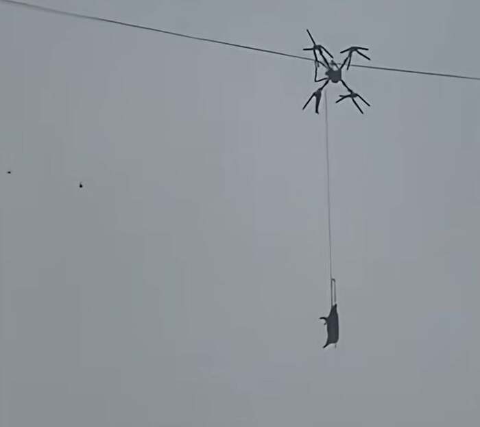 ������ ��������� ��������� ������ �� ������������ � ������� ��� ����� �������