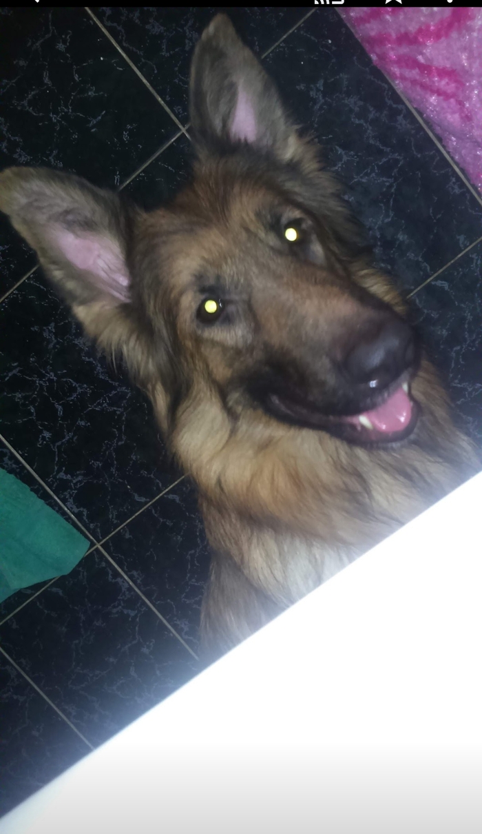 ������ �� ������