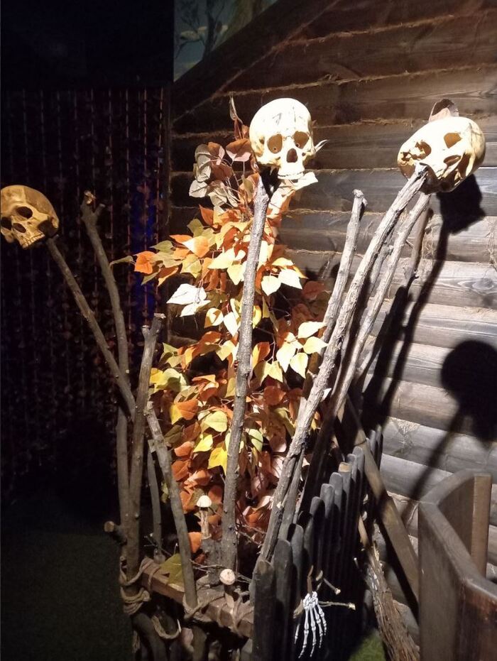 ���, ����� ������, ����������������� 61