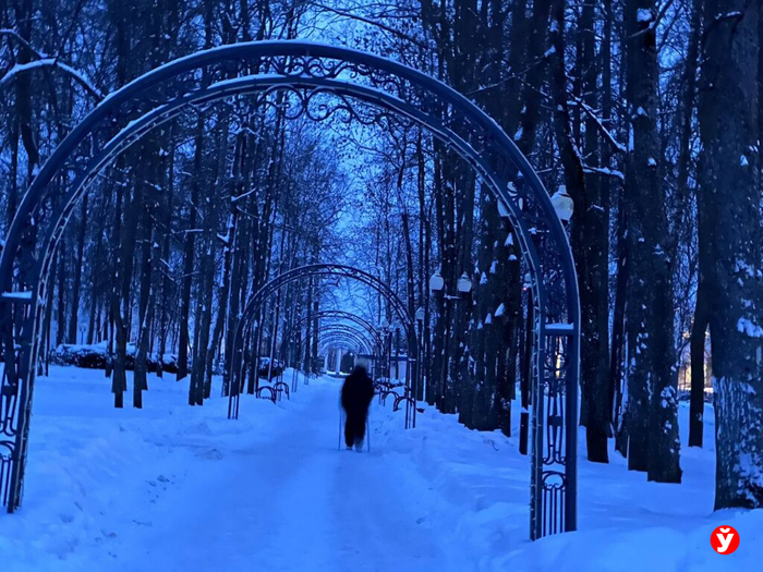 ���� � �������� � 5 ����� �� � ����� ��������� �������� ���������