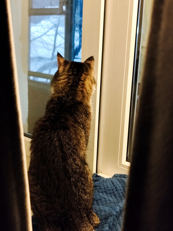 "����� ��� ��� ������� ���� �� �������? ��� ���� �� �����..."