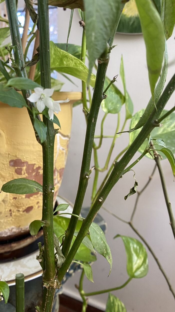 �� � ����� ������ ������! ���� �� ������!