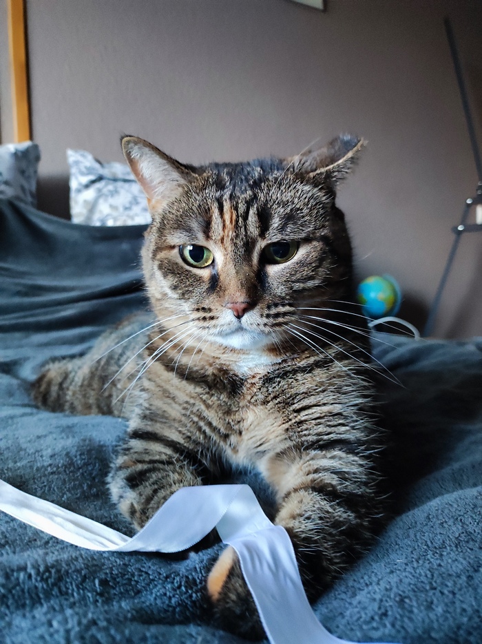 ����� �������� ������ ����� �� ����������� ��������