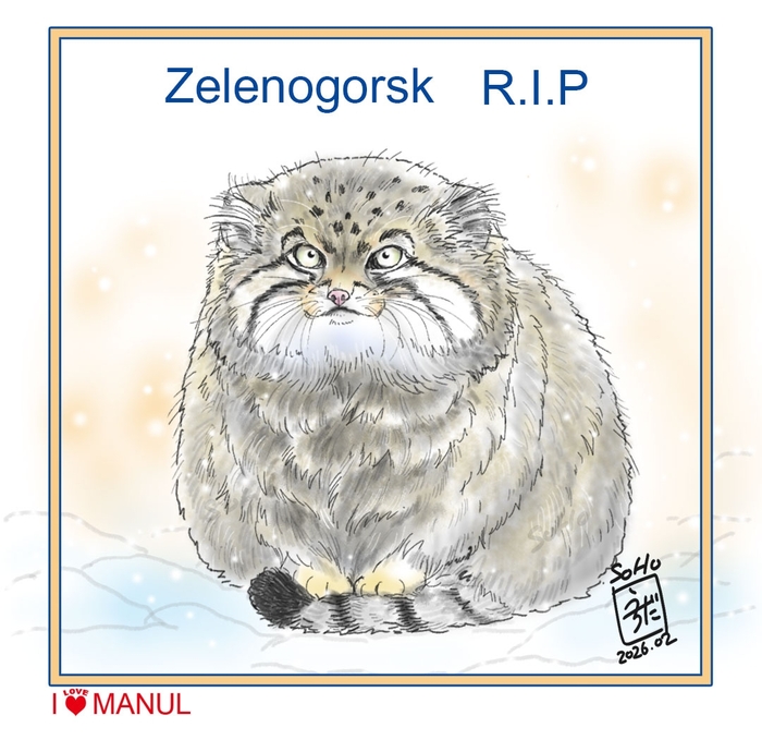 ������ :"(