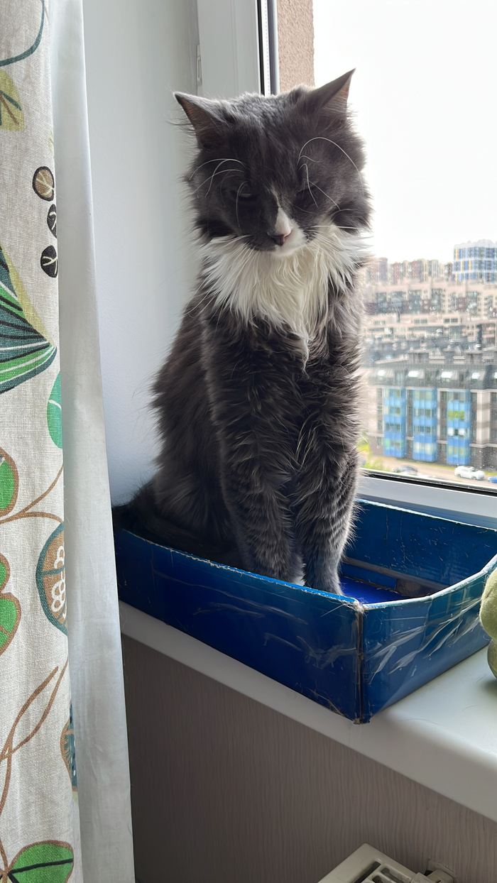 ������ ��������� ����