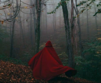 �������������