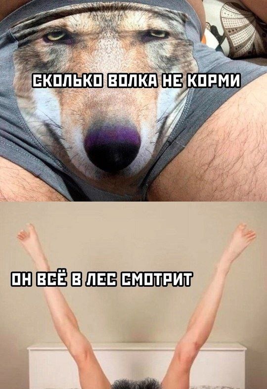 ��� ���� ������