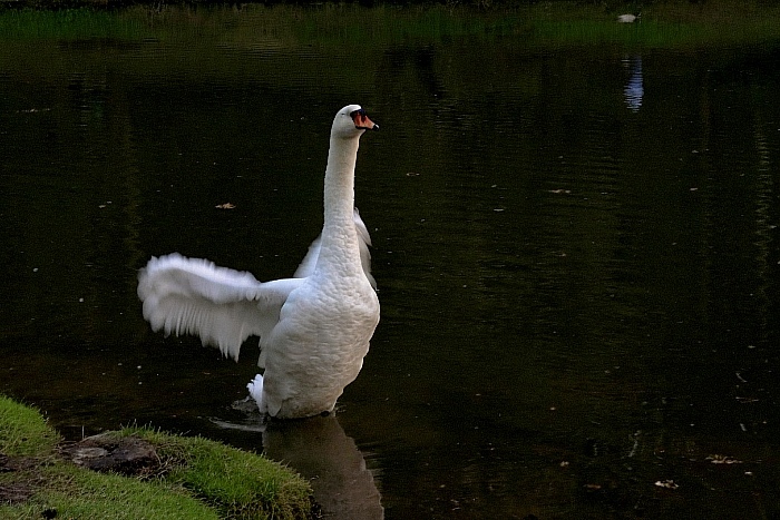 �� �����