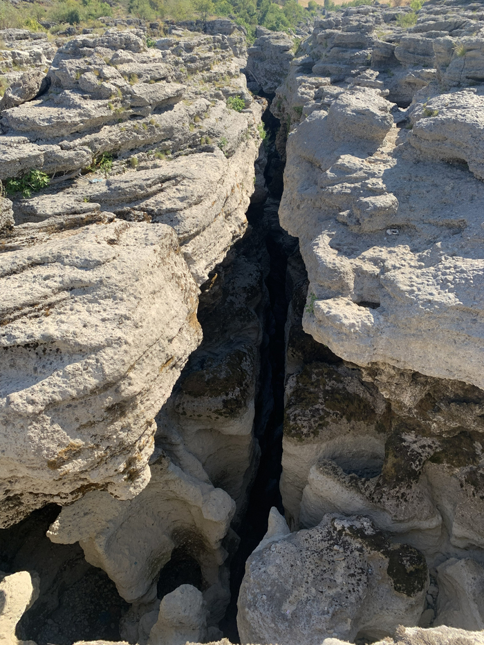 ����� ���������� ����.