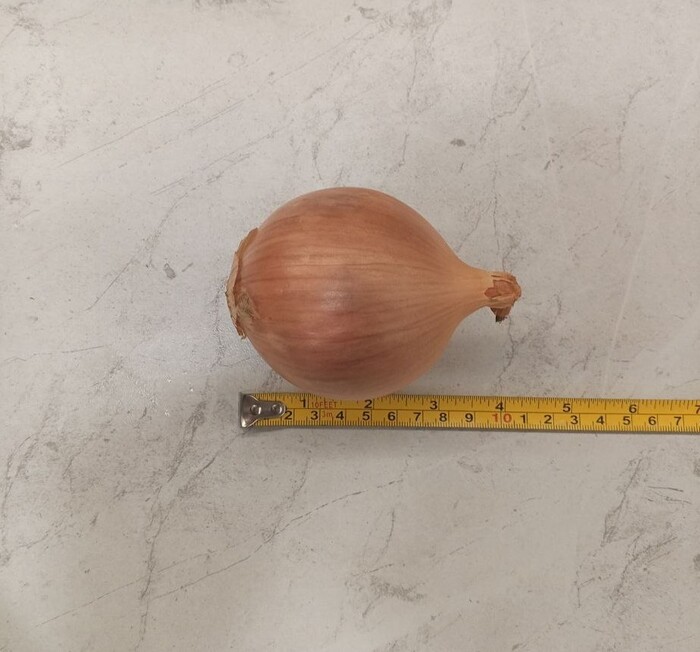 ����� ��������� ������, ����� ������, ����� �������� � �� �������